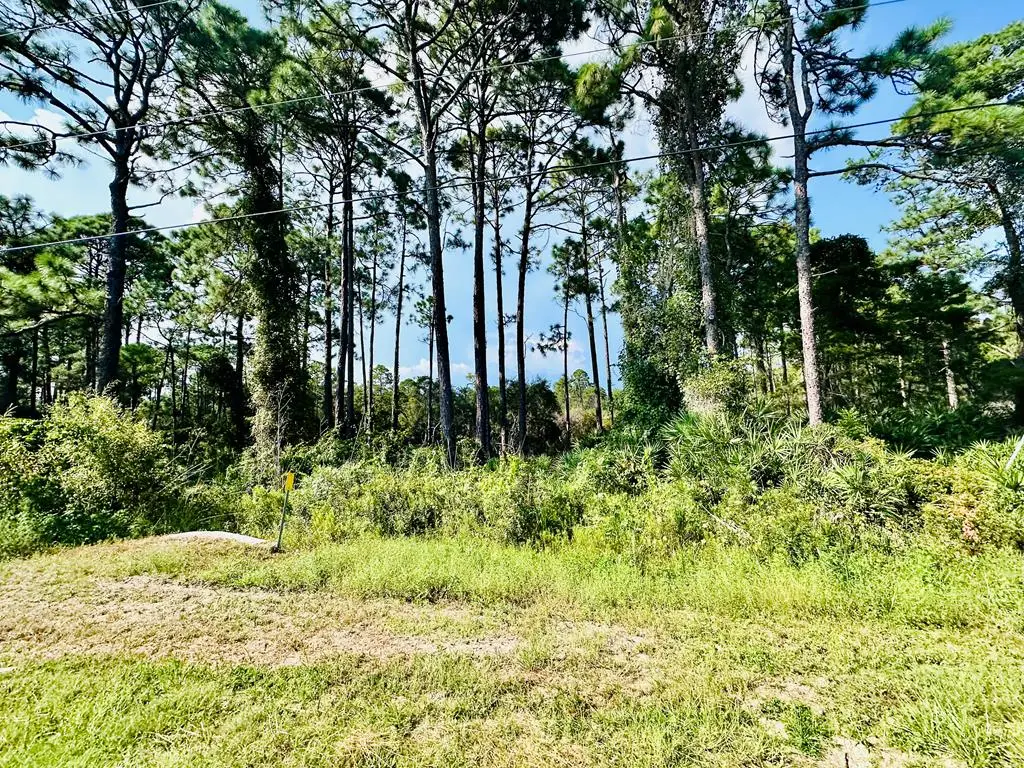 253 Twin Lakes Rd, Eastpoint, FL 32328 - #1
