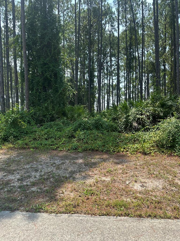 170 Royal Tern Way, Carrabelle, FL 32322