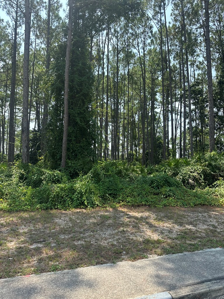 170 Royal Tern Way, Carrabelle, FL 32322 - #3