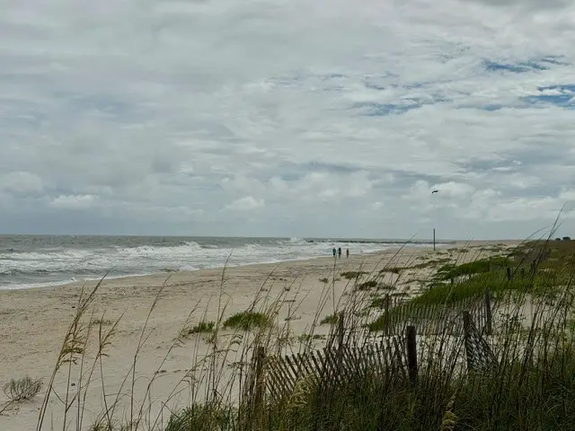 2280 Sailfish Dr, Saint George Island, FL 32328 - #3
