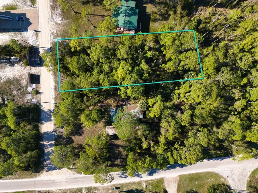305 Palmer St, Saint George Island, FL 32328 - #2