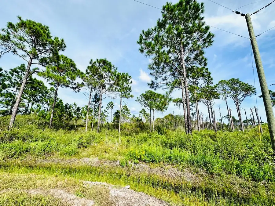 642 Ridge Rd, Eastpoint, FL 32328 - #2