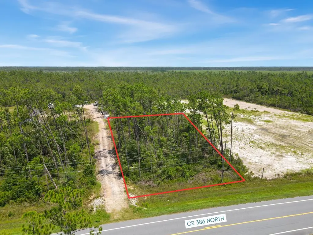9020 Cr 386 N, Wewahitchka, FL 32456 - #1