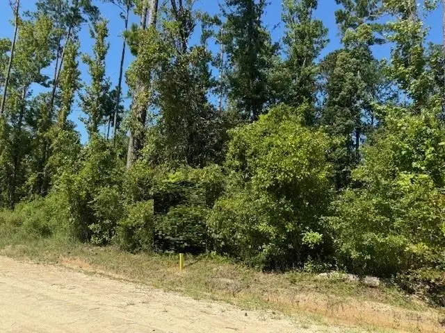 Lot 1-3 Johnson St, Wewahitchka, FL 32465 - #2