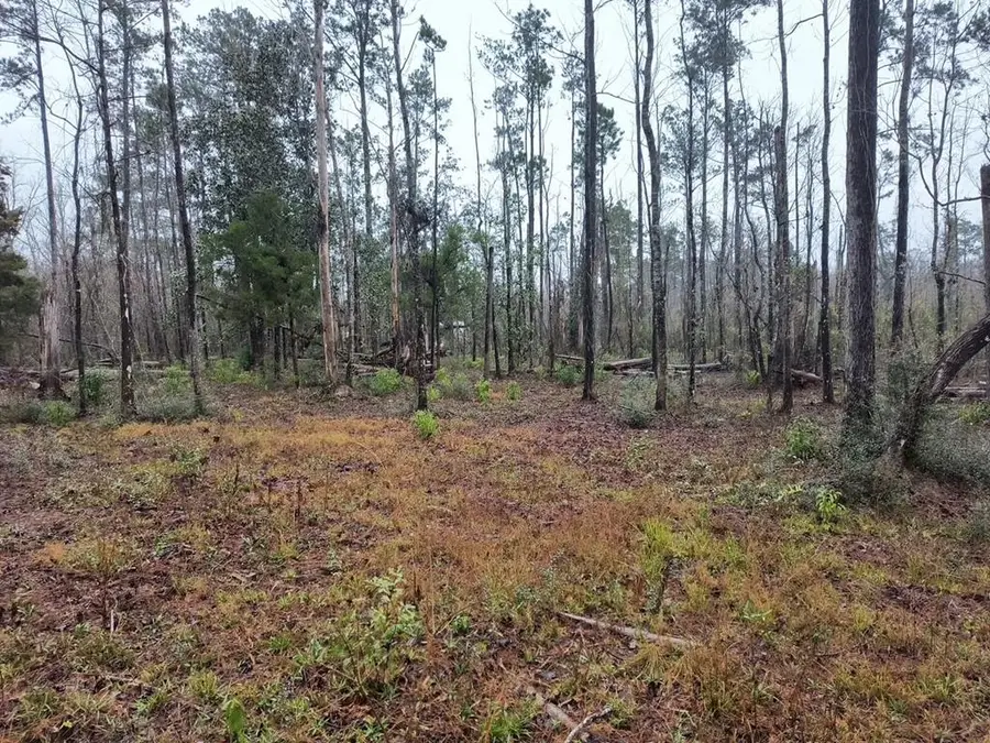 Lot 1-3 Johnson St, Wewahitchka, FL 32465 - #3