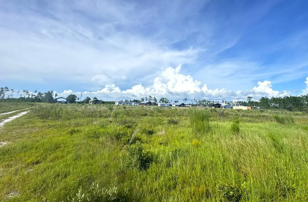 Lot 8 Margies Ln, Wewahitchka, FL 32465 - #1