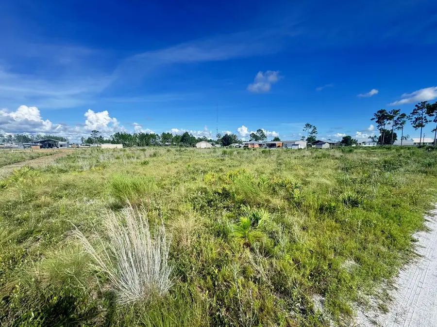 Lot 8 Margies Ln, Wewahitchka, FL 32465 - #3