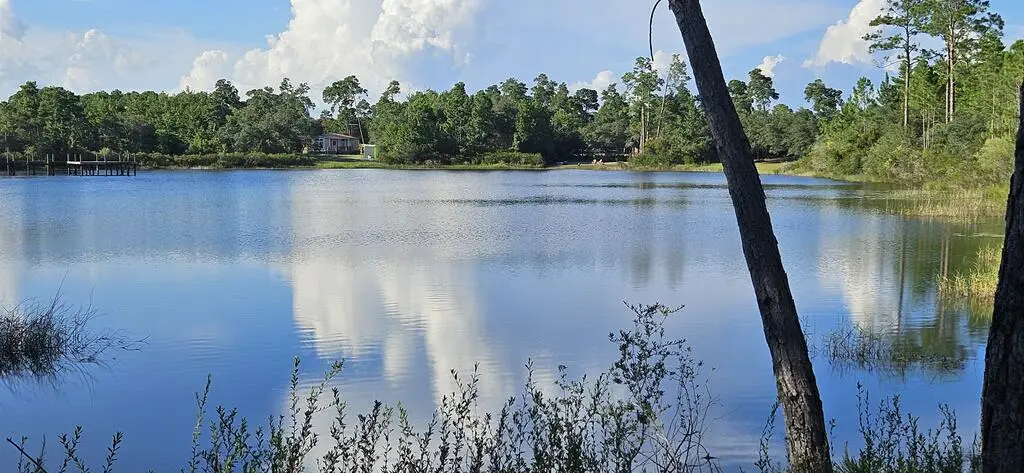 178 Lake Pristine Cir, Carrabelle, FL 32322 - #1