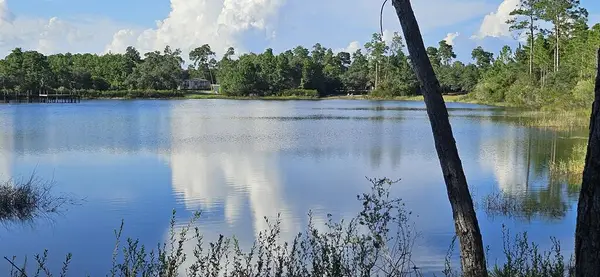 178 Lake Pristine Cir, Carrabelle, FL 32322