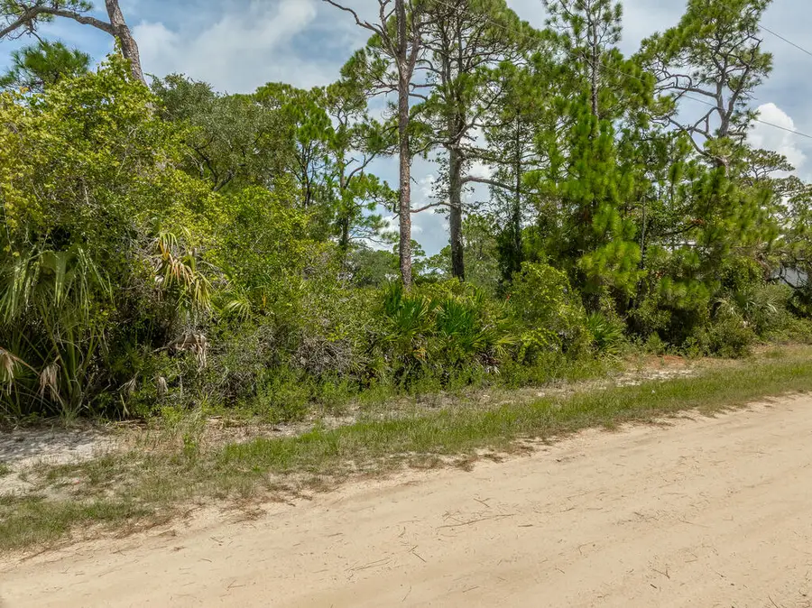 1019 Porter St, Saint George Island, FL 32328 - #2