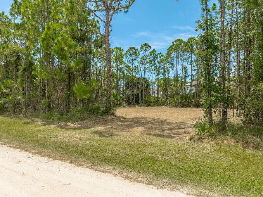 324 Brown St, Saint George Island, FL 32328 - #2