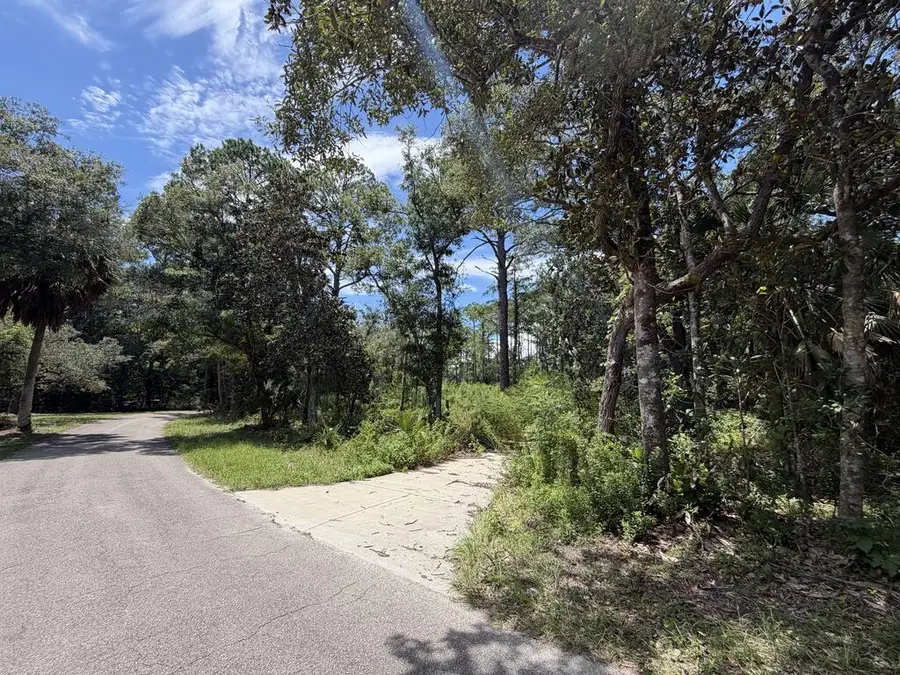 204 Smith Rd, Apalachicola, FL 32320 - #3