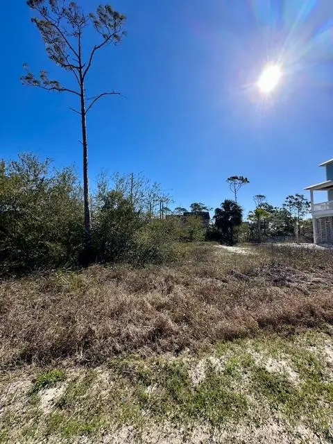 180 Las Palamas Ln, Port Saint Joe, FL 32456 - #2