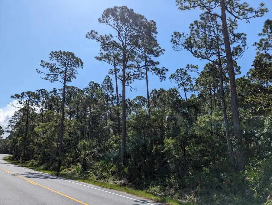 10806 Cr 30-a, Port Saint Joe, FL 32456 - #2