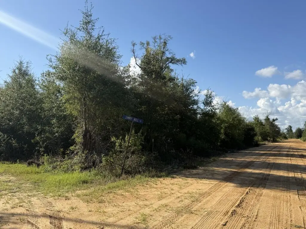 0022 Sw Mcclellan Cemetery Rd, Clarksville, FL 32430 - #1