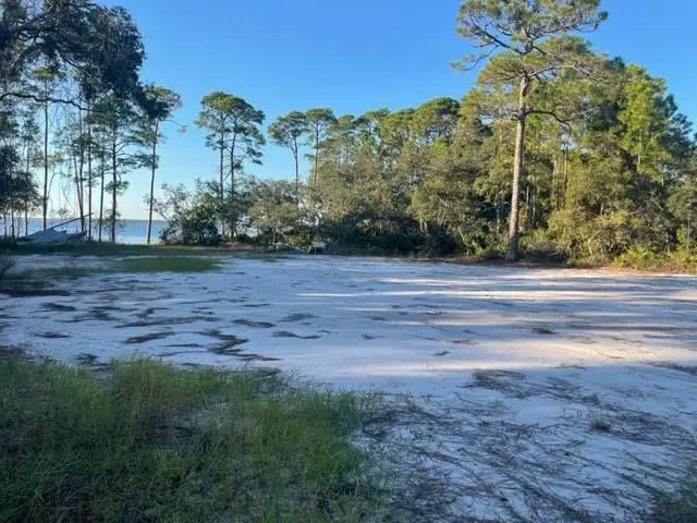 297 Magnolia Bay Dr, Eastpoint, FL 32328 - #1