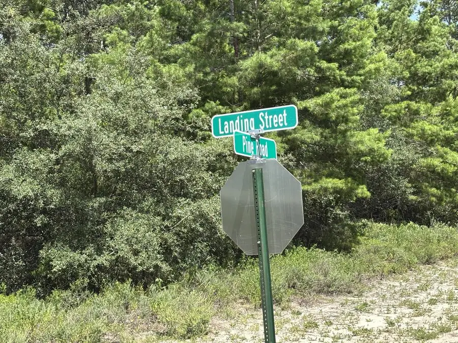 1717 Landing St, Carrabelle, FL 32322 - #3