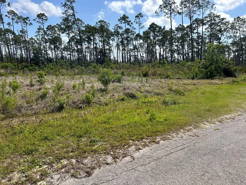 TBD Olive Ave, Port Saint Joe, FL 32456 - #1