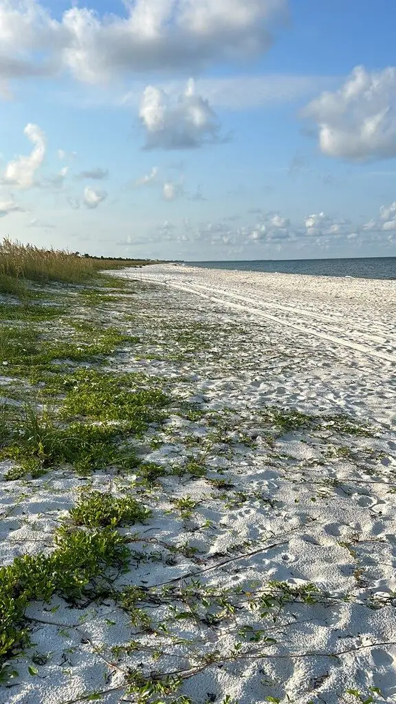 TBD Olive Ave, Port Saint Joe, FL 32456 - #3