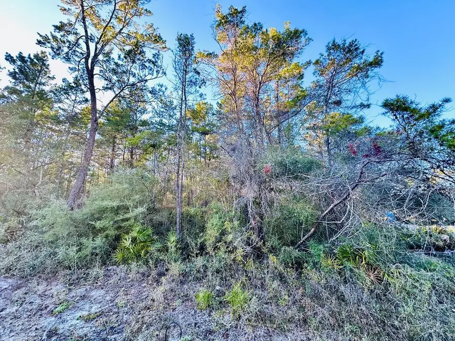 2041 Hwy 98 W, Carrabelle, FL 32322 - #2