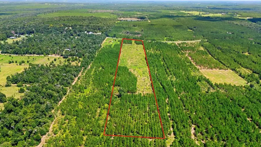 23610 Nw Church Rd, Altha, FL 32421 - #3
