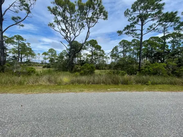 223 Hidden Harbor Dr, Alligator Point, FL 32346