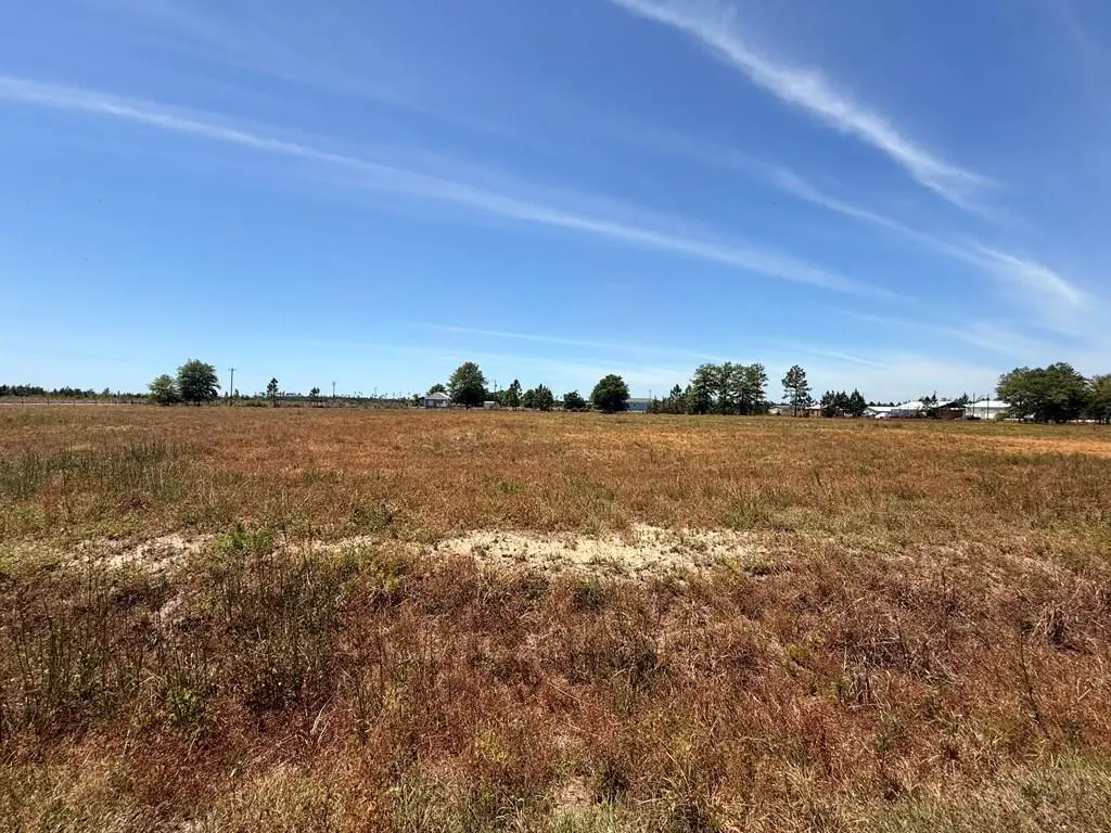 Lot 7 Harmony St, Wewahitchka, FL 32465 - #1