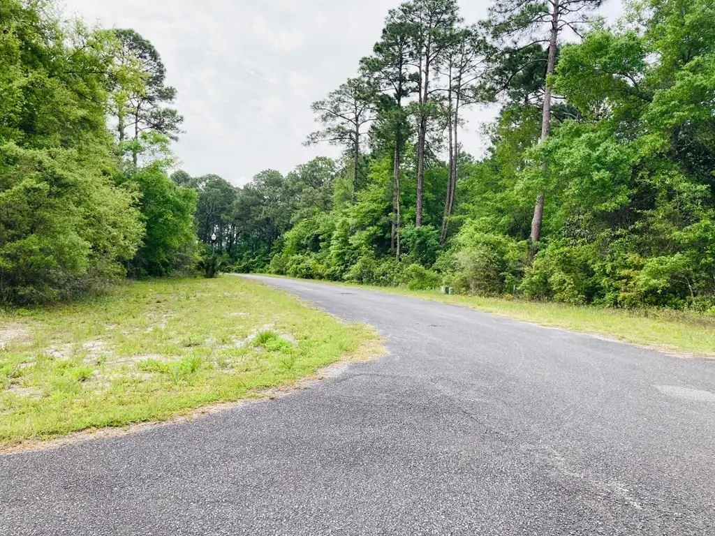 53 Bluewater Bay Cir, Carrabelle, FL 32322 - #1