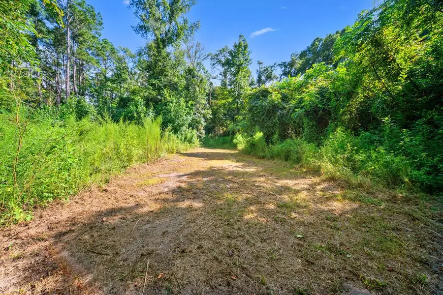 Lot 1 Donaldson Williams Rd, Crawfordville, FL 32327 - #2