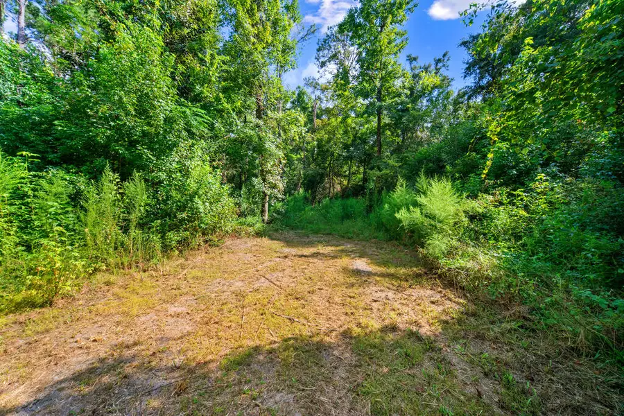 Lot 1 Donaldson Williams Rd, Crawfordville, FL 32327 - #3
