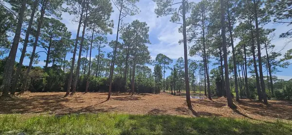 178 Baywood Dr, Carrabelle, FL 32322