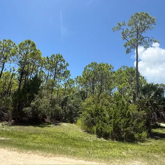 1259 E Gulf Beach Dr, Saint George Island, FL 32328 - #2