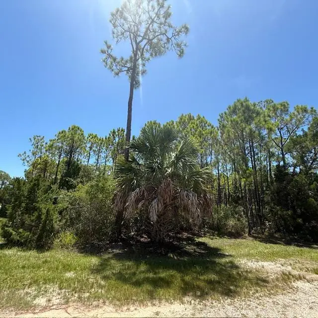 1259 E Gulf Beach Dr, Saint George Island, FL 32328 - #3