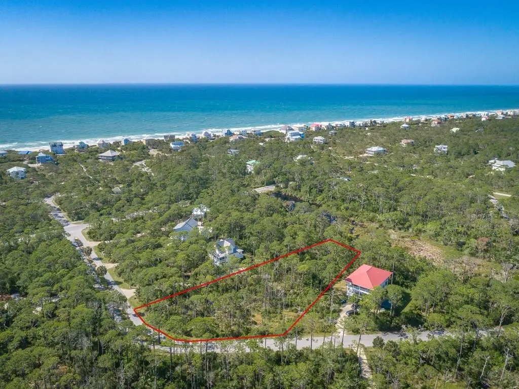 1663 Forsythia Trail, Saint George Island, FL 32328 - #1