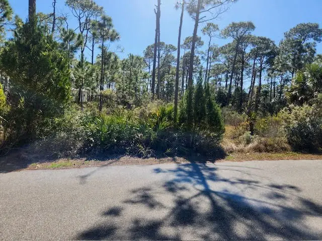 1663 Forsythia Trail, Saint George Island, FL 32328 - #2