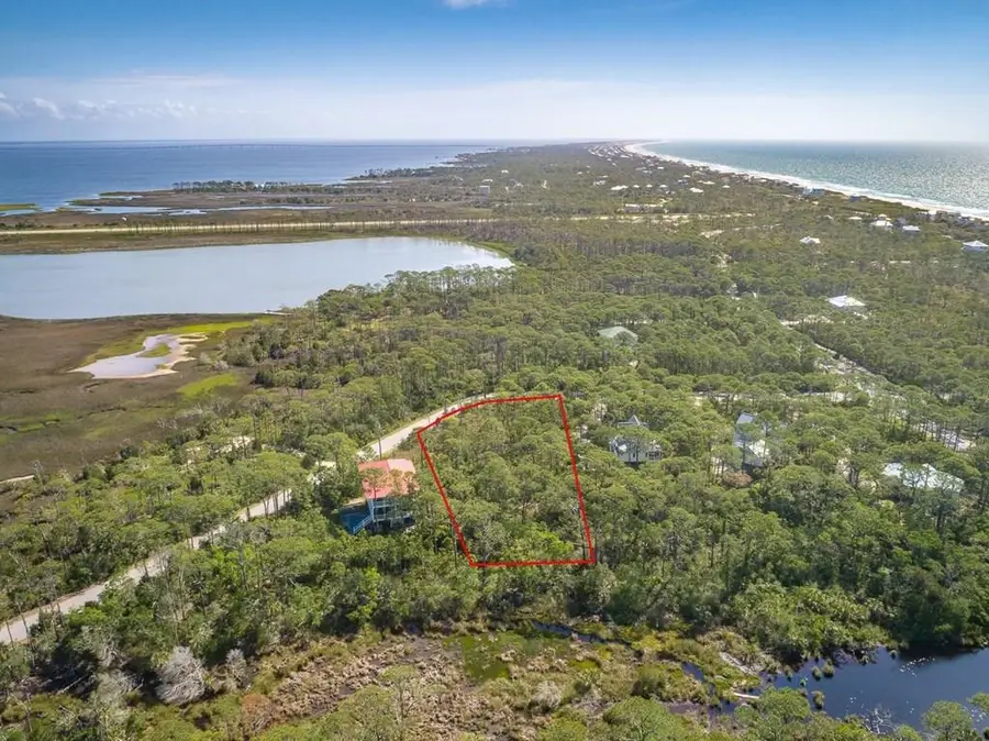 1663 Forsythia Trail, Saint George Island, FL 32328 - #3