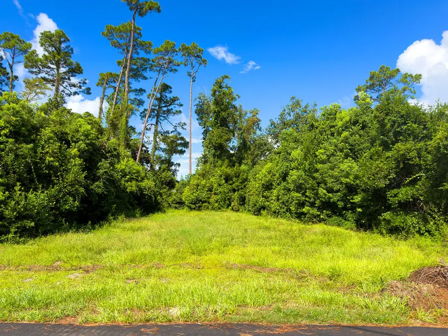 117 Monica Dr, Port Saint Joe, FL 32456 - #2