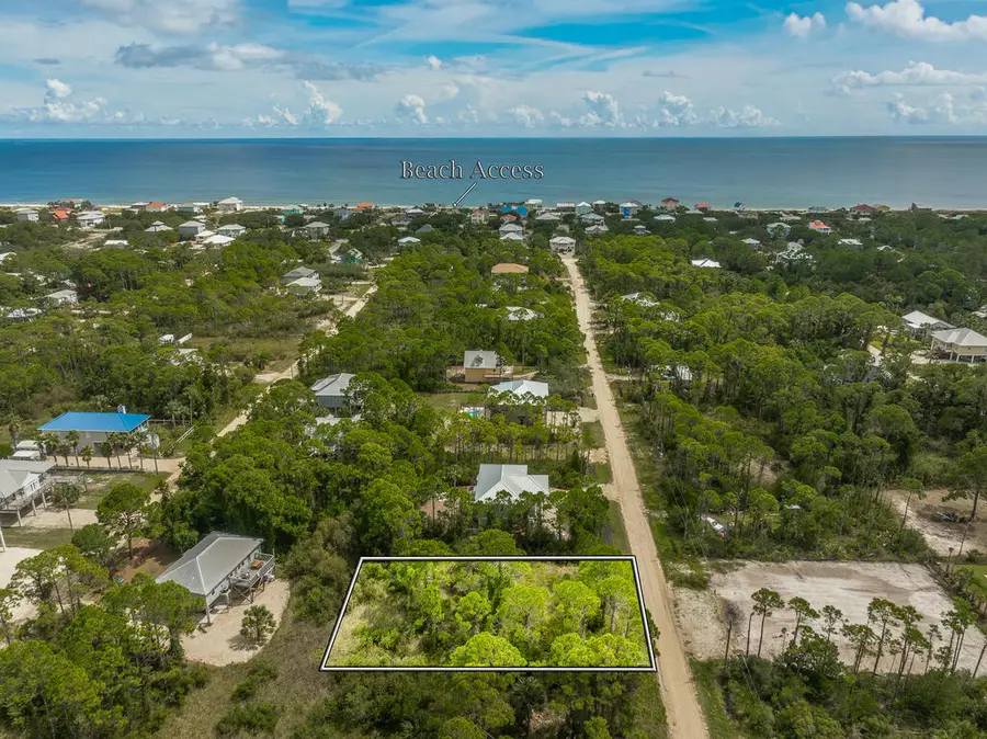 331 Nedley St, Saint George Island, FL 32328 - #2