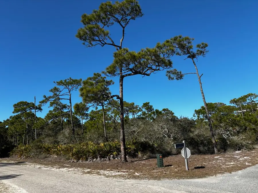 2000 Pelican Way, Saint George Island, FL 32328 - #3