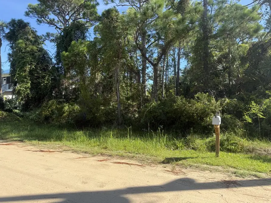 139 Bradford St, Saint George Island, FL 32328 - #2
