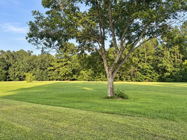 TBD Hwy 71 N, Wewahitchka, FL 32465