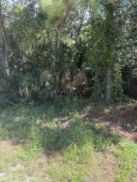 147 Doe Ln, Carrabelle, FL 32322 - #1