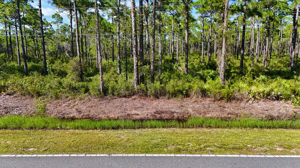 265 Twin Lakes Rd, Eastpoint, FL 32328 - #1