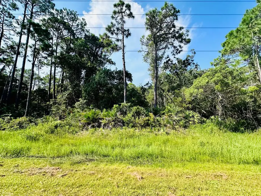 265 Twin Lakes Rd, Eastpoint, FL 32328 - #2