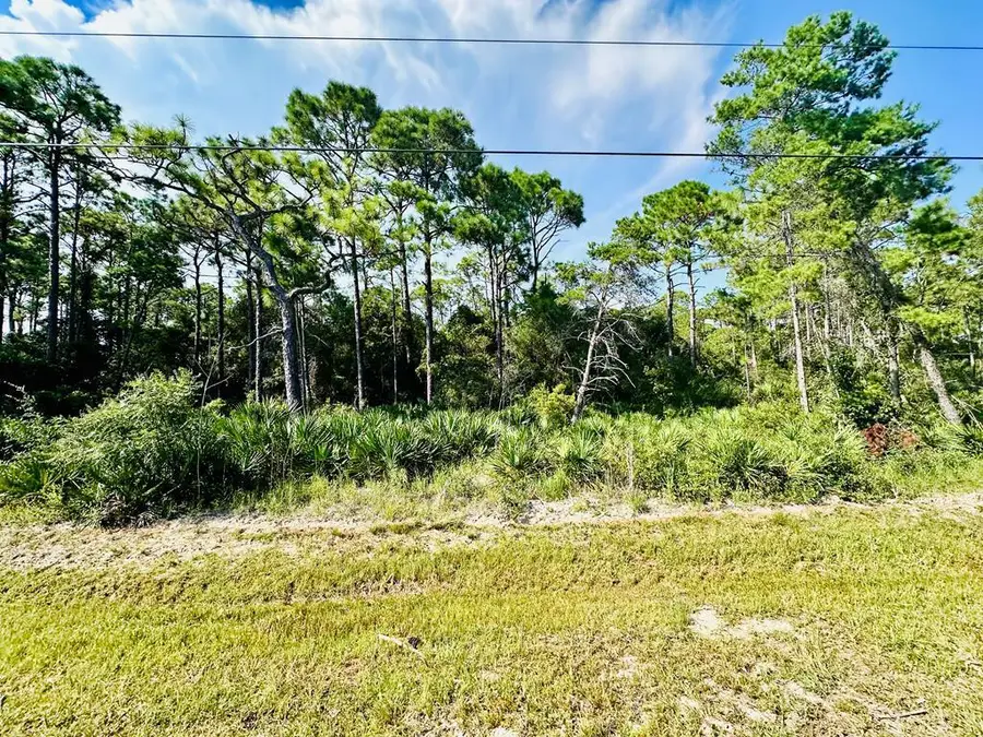 259 Twin Lakes Rd, Eastpoint, FL 32328 - #2