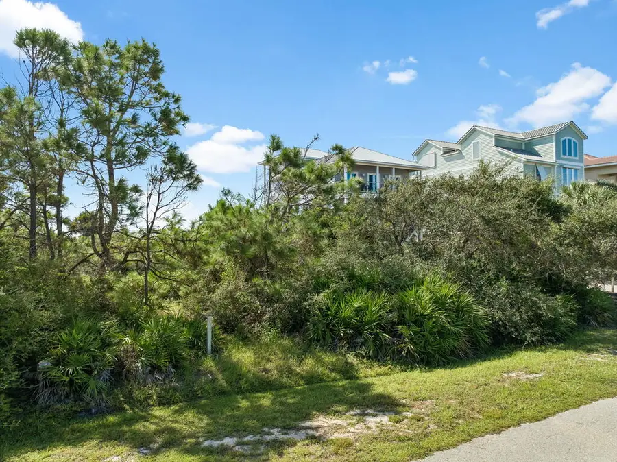 2240 Sailfish Dr, Saint George Island, FL 32328 - #3