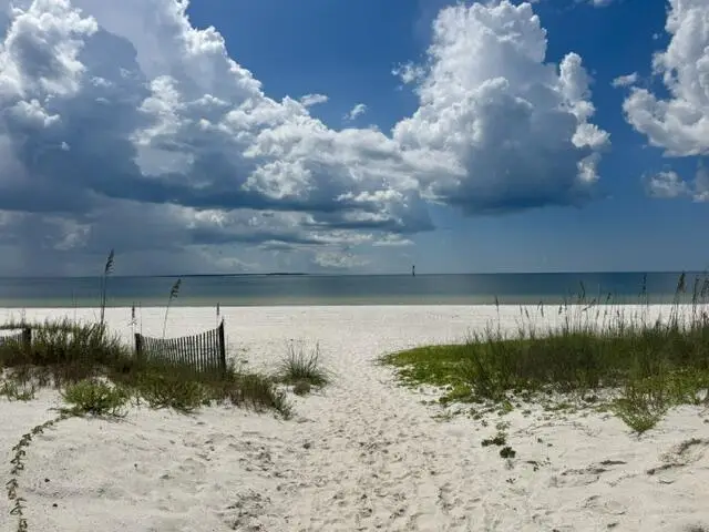 201 St Frances St, Mexico Beach, FL 32456 - #2
