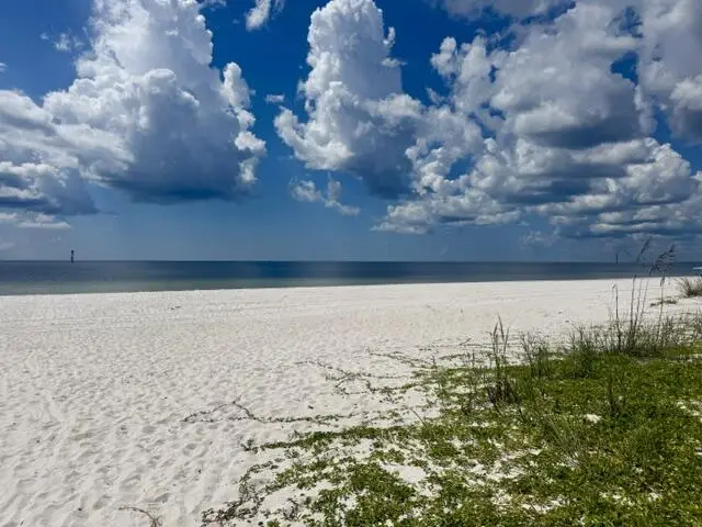 201 St Frances St, Mexico Beach, FL 32456 - #3