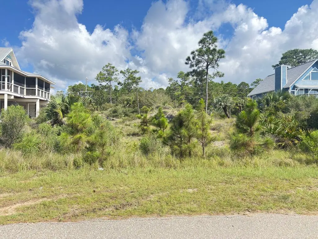 163 Treasure Dr, Port Saint Joe, FL 32456 - #1