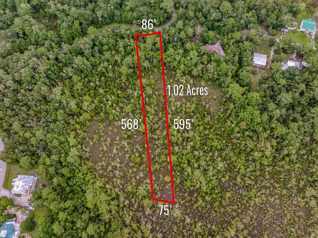 163 Sand Bar Rd, Apalachicola, FL 32320 - #1